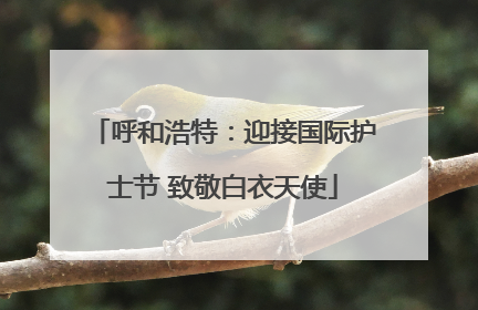 呼和浩特：迎接国际护士节 致敬白衣天使