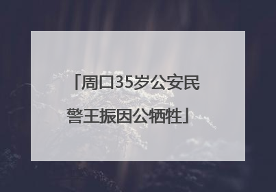 周口35岁公安民警王振因公牺牲