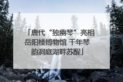 唐代“独幽琴”亮相岳阳楼博物馆 千年琴韵洞庭湖畔苏醒