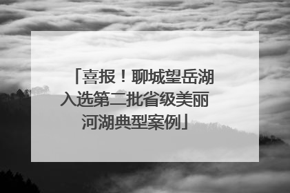 喜报！聊城望岳湖入选第二批省级美丽河湖典型案例