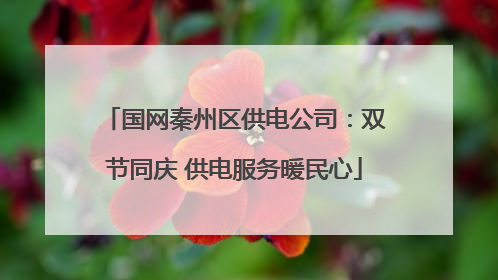 国网秦州区供电公司：双节同庆 供电服务暖民心