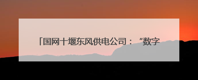国网十堰东风供电公司：“数字反哺” 解决老人度夏缴费难题
