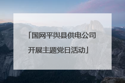 国网平舆县供电公司开展主题党日活动