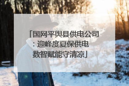 国网平舆县供电公司：迎峰度夏保供电  数智赋能守清凉