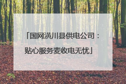 国网潢川县供电公司：贴心服务麦收电无忧