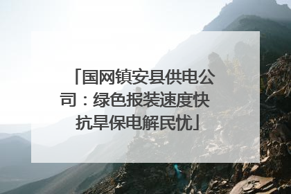 国网镇安县供电公司：绿色报装速度快 抗旱保电解民忧