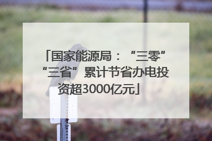 国家能源局：“三零”“三省”累计节省办电投资超3000亿元