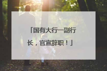 国有大行一副行长，官宣辞职！