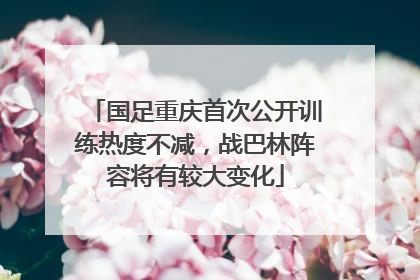 国足重庆首次公开训练热度不减，战巴林阵容将有较大变化