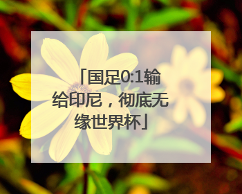 国足0:1输给印尼，彻底无缘世界杯