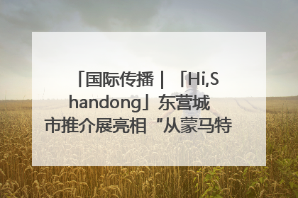 国际传播｜「Hi,Shandong」东营城市推介展亮相“从蒙马特到加里波第”文化节