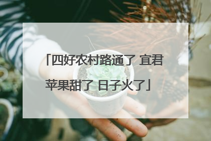 四好农村路通了 宜君苹果甜了 日子火了
