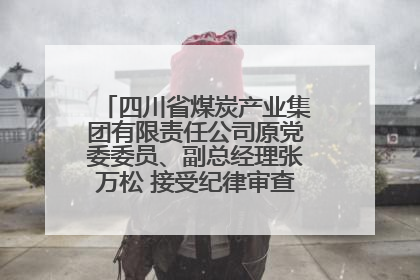 四川省煤炭产业集团有限责任公司原党委委员、副总经理张万松 接受纪律审查和监察调查