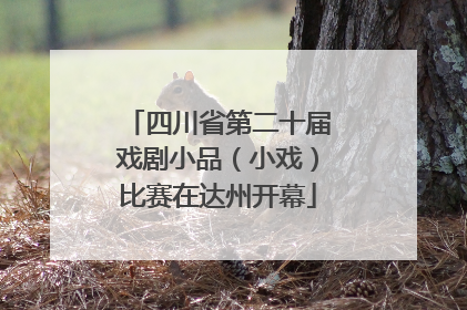 四川省第二十届戏剧小品（小戏）比赛在达州开幕