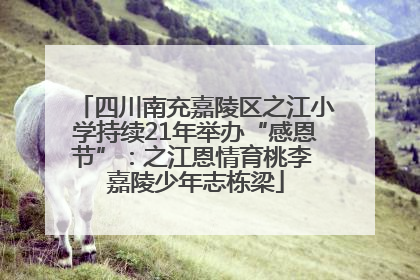 四川南充嘉陵区之江小学持续21年举办“感恩节”：之江恩情育桃李 嘉陵少年志栋梁
