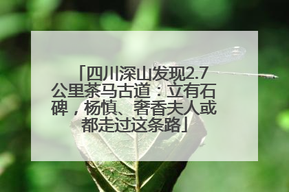 四川深山发现2.7公里茶马古道：立有石碑，杨慎、奢香夫人或都走过这条路