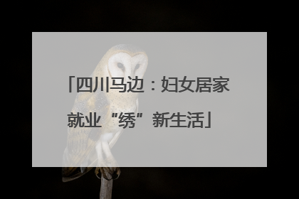 四川马边：妇女居家就业“绣”新生活