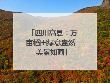 四川高县：万亩稻田绿意盎然 美景如画
