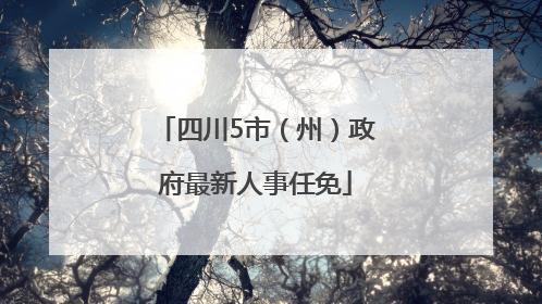 四川5市（州）政府最新人事任免