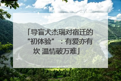 导盲犬杰瑞对宿迁的“初体验”：有爱亦有坎 温情破万难