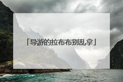 导游的拉布布别乱拿
