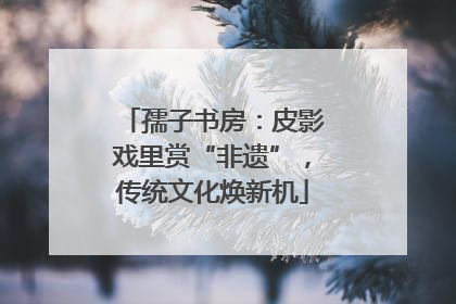 孺子书房：皮影戏里赏“非遗”，传统文化焕新机