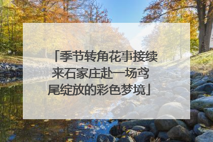 季节转角花事接续 来石家庄赴一场鸢尾绽放的彩色梦境