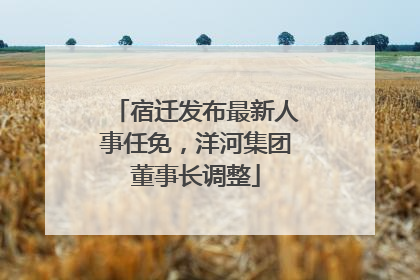 宿迁发布最新人事任免，洋河集团董事长调整