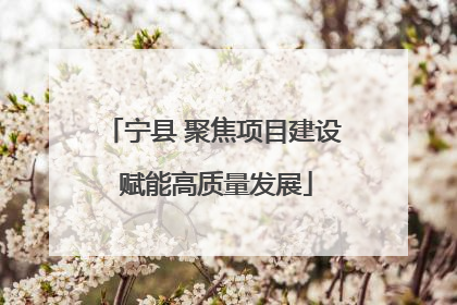 宁县 聚焦项目建设 赋能高质量发展