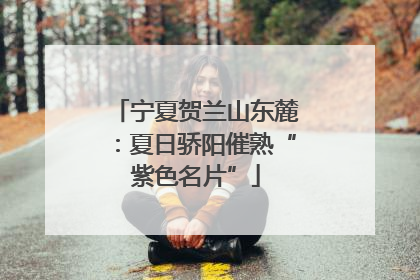 宁夏贺兰山东麓：夏日骄阳催熟“紫色名片”