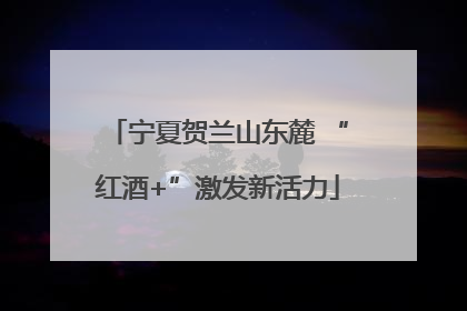 宁夏贺兰山东麓 “红酒+”激发新活力