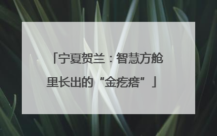 宁夏贺兰：智慧方舱里长出的“金疙瘩”