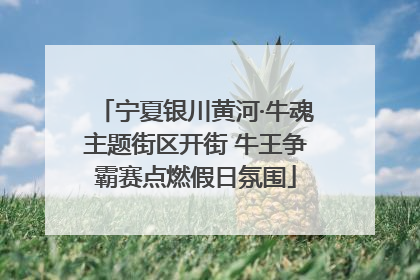 宁夏银川黄河·牛魂主题街区开街 牛王争霸赛点燃假日氛围