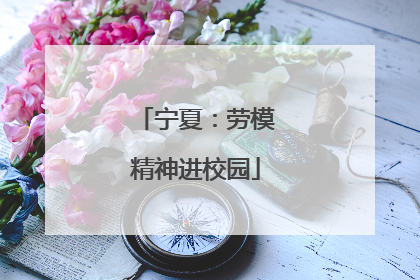 宁夏：劳模精神进校园