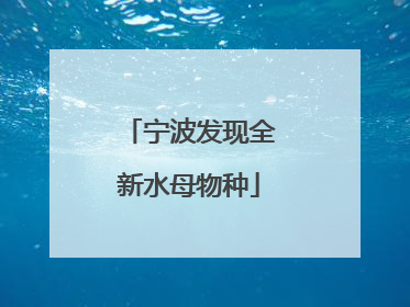 宁波发现全新水母物种
