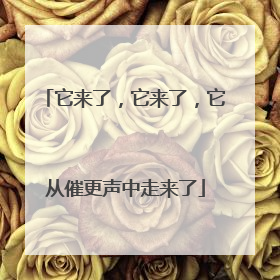 它来了，它来了，它从催更声中走来了