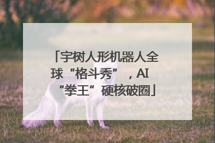 宇树人形机器人全球“格斗秀”，AI“拳王”硬核破圈