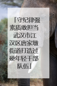 守纪律强素质敢担当 武汉市江汉区唐家墩街道打造过硬年轻干部队伍