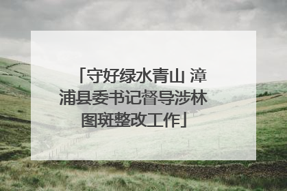 守好绿水青山 漳浦县委书记督导涉林图斑整改工作