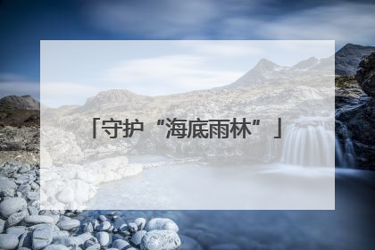 守护“海底雨林”