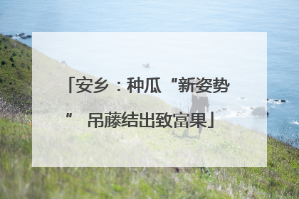 安乡：种瓜“新姿势” 吊藤结出致富果