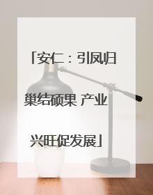 安仁：引凤归巢结硕果 产业兴旺促发展