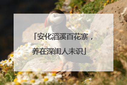 安化滔溪百花寨，养在深闺人未识