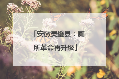 安徽灵璧县：厕所革命再升级