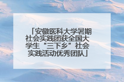 安徽医科大学暑期社会实践团获全国大学生“三下乡”社会实践活动优秀团队