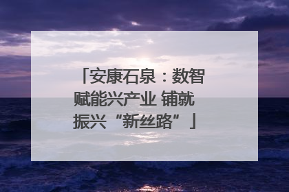 安康石泉：数智赋能兴产业 铺就振兴“新丝路”