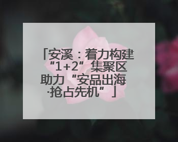 安溪：着力构建“1+2”集聚区 助力“安品出海·抢占先机”