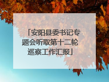 安阳县委书记专题会听取第十二轮巡察工作汇报