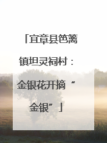 宜章县笆篱镇坦灵祠村：金银花开摘“金银”