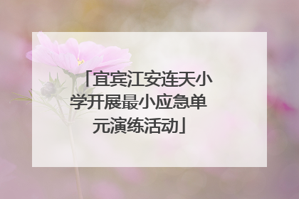 宜宾江安连天小学开展最小应急单元演练活动